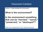 Classroom Catalyst