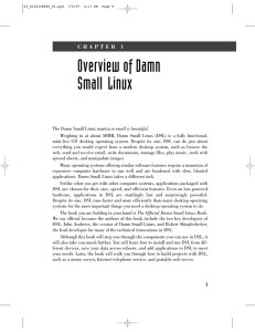 Overview of Damn Small Linux