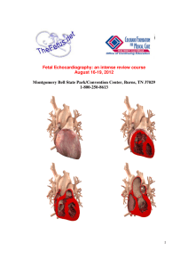 Fetal Echocardiography: an intense review course August 16