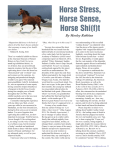 Horse Stress Horse Sense - Performance Equine Nutrition