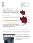 (IFRAME) Dilated Cardiomyopathy in Dogs