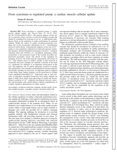 cellular update From syncitium to regulated pump: a cardiac muscle