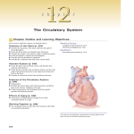 12 c h a p t e r The Circulatory System