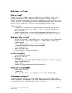 Guidelines on Croup