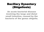 Bacillary Dysentery (Shigellosis)