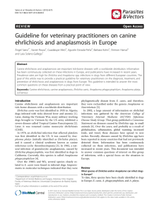 Guideline for veterinary practitioners on canine ehrlichiosis and
