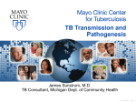 File - Mayo Clinic Center for Tuberculosis