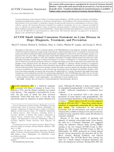 ACVIM Small Animal Consensus Statement on Lyme Disease in Dogs