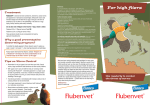 Read the Flubenver Leaflet