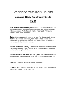 All Pets Veterinary Hospital - Greenland Veterinary Hospital