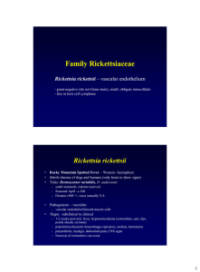 Chlamydia and Rickettsiales