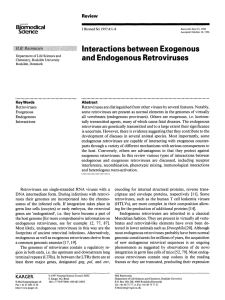 Interactions between exogenous and endogenous retroviruses