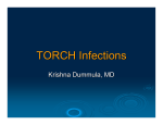 TORCH Infections - Westchester Medical Center