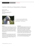 Canine Infectious Respiratory Disease