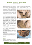 Progressive Atrophic Rhinitis Pig Health - Progressive