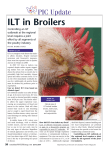 ILT in Broilers - Poultry Industry Council