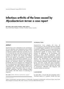 Mycobacterium terrae: a case report