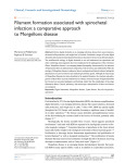 Filament formation associated with spirochetal infection: a comparative approach to Morgellons disease