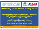 Rift Valley Fever, What`s the Big Deal?