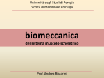 F - accounts.unipg>it - Università degli Studi di Perugia