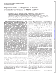 Regulation Of Glut4 Biogenesis In Muscle Evidence For