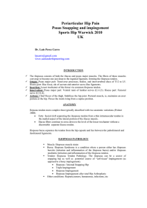 Periarticular Hip Pain Psoas Snapping and impingement Sports Hip
