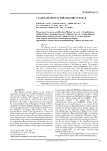 327 a rare variation of the digastric muscle