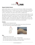 Osgood-Schlatter Disease (Knee)