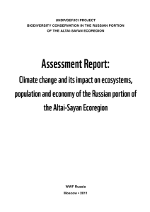 Assessment Report