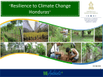 Honduras - Climate Investment Funds