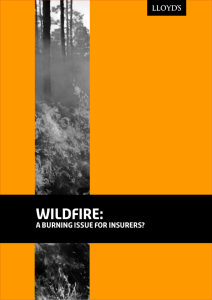 Wildfire: A burning issue for insurers?