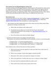 Quantifying the carbon cycle