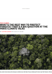 what`s the best way to protect forests? that`s a big question at the