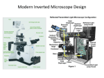 Bright Field Microscopy