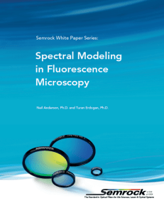 Fluorescence Fidelity Depends on Filters