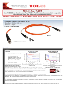 Thorlabs.com - Solarization-Resistant Multimode Fiber Optic Patch