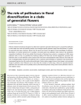 The role of pollinators in floral diversification in a clade of generalist