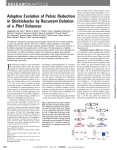 Adaptive Evolution of Pelvic Reduction in Sticklebacks by Recurrent