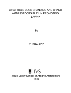 dessertation full and final - Indus Valley School of Art
