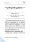Strategic Analysis of Business Portfolios: Case Study of Chabahar