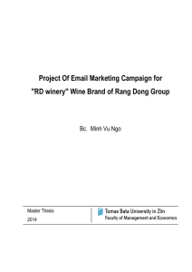 Project Of Email Marketing Campaign for