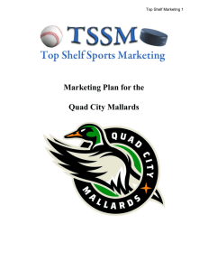 Quad City Mallards Marketing Plan