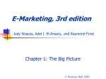 E-Marketing, 3rd edition Chapter 1: The Big Picture © Prentice Hall 2003