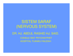 sistem saraf (nervous system)