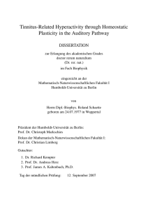 Tinnitus-Related Hyperactivity through Homeostatic Plasticity