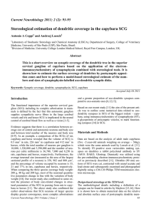 Stereological estimation of dendritic coverage in the capybara SCG