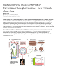 Fractal geometry enables information transmission through resonance