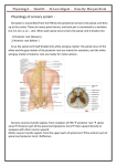 Physiology2 - Sheet#2 - Dr.Loai Alzgoul