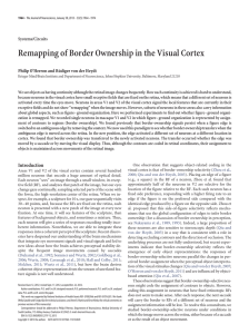 Remapping of Border Ownership in the Visual Cortex