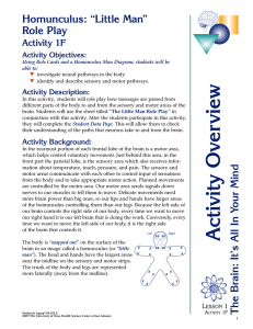 Activity Overview Continued - The University of Texas Health